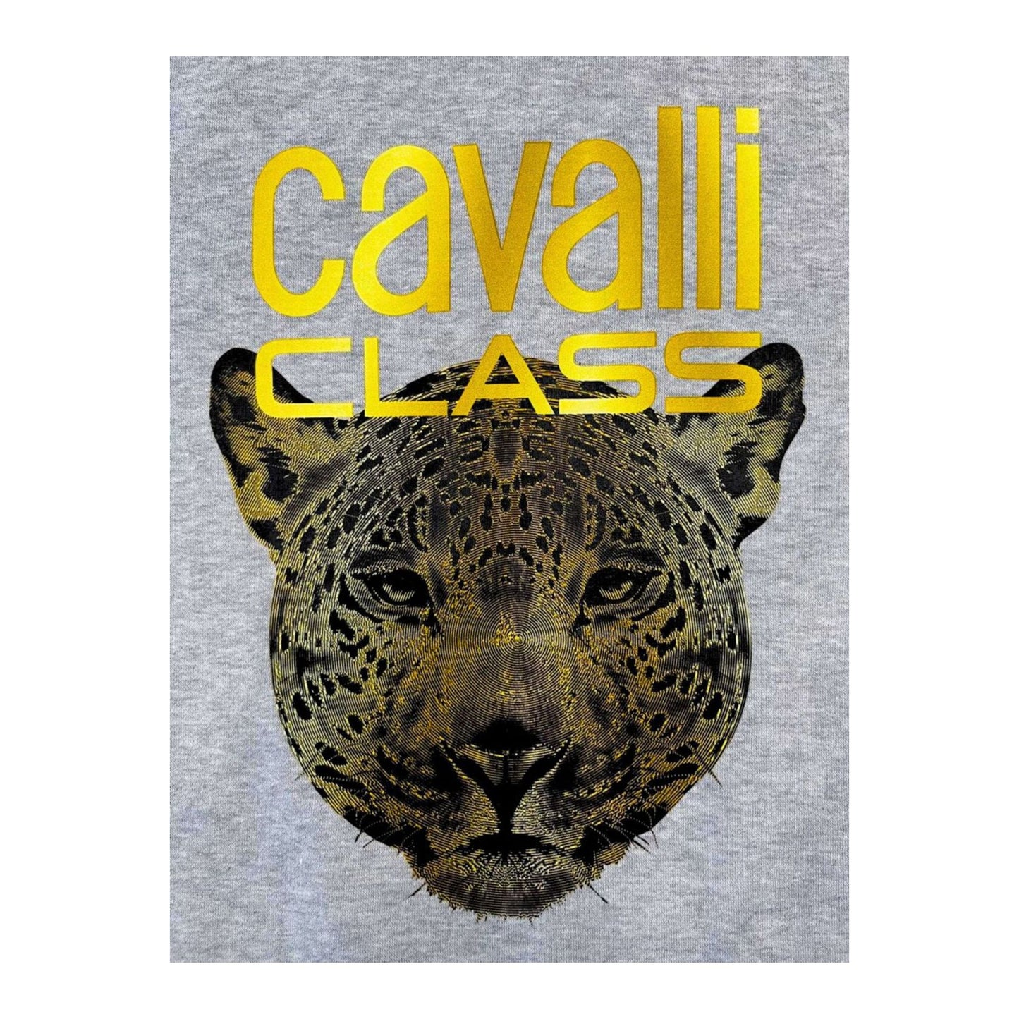 Cavalli Class Sudaderas