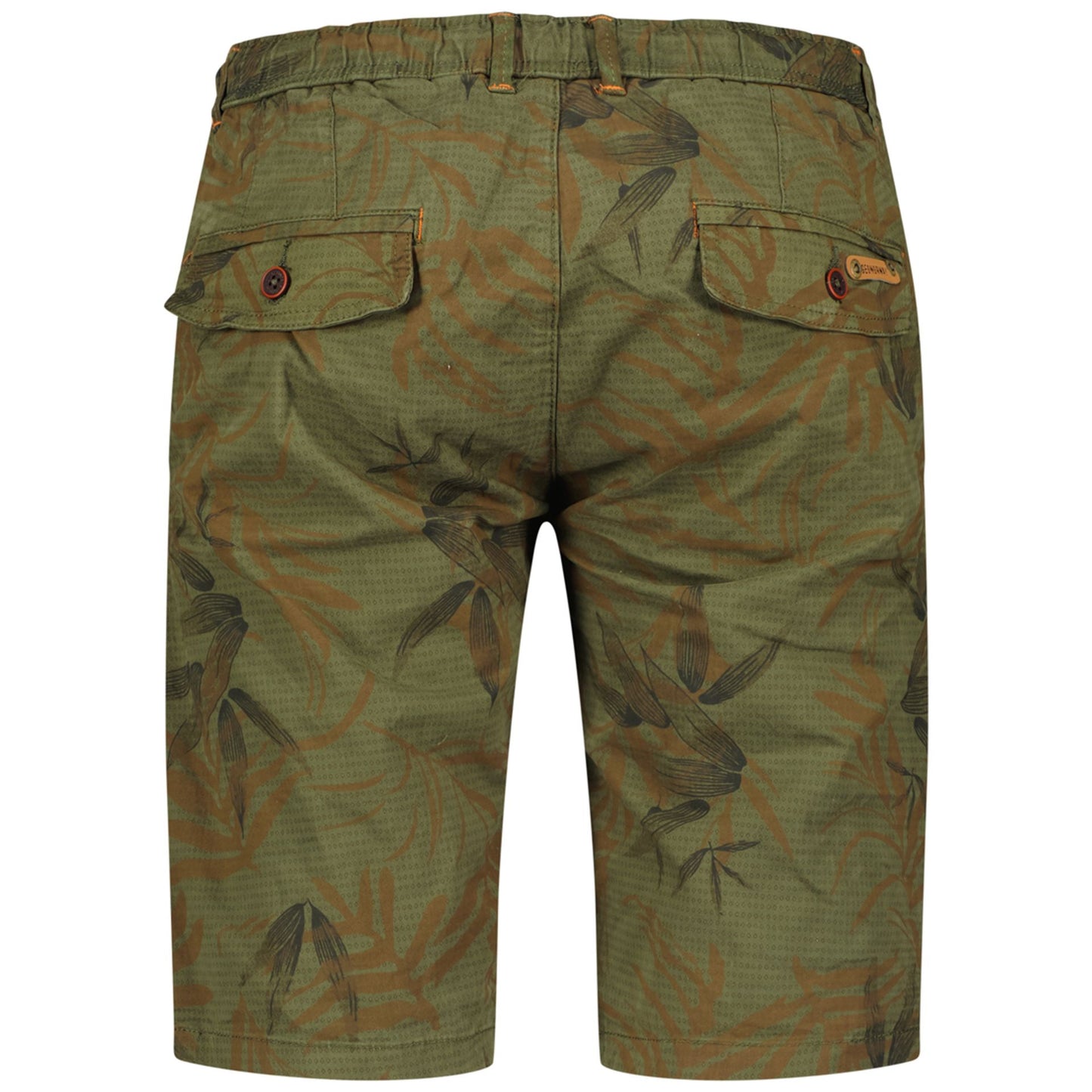 Geographical Norway Bermudas