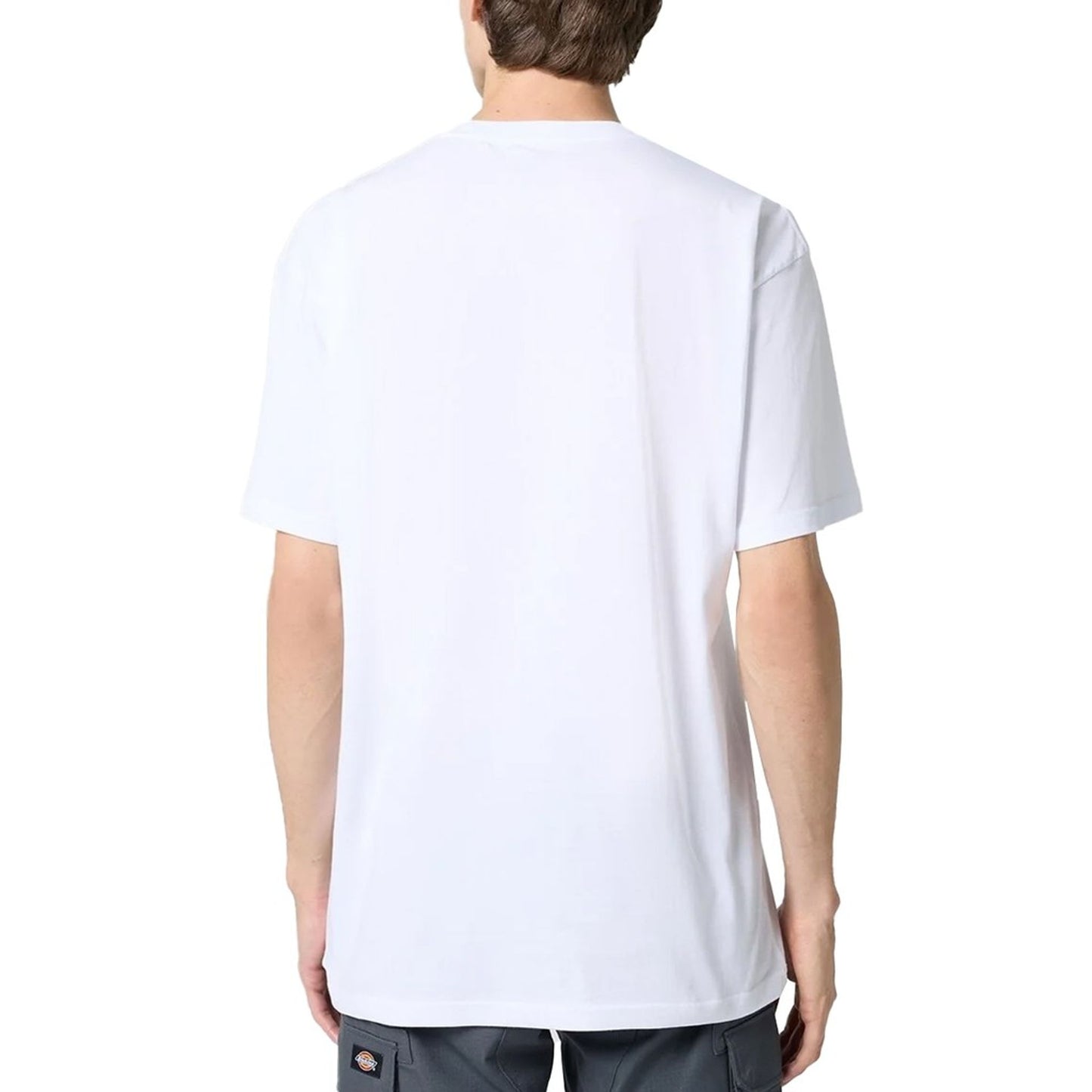 Vans Camisetas