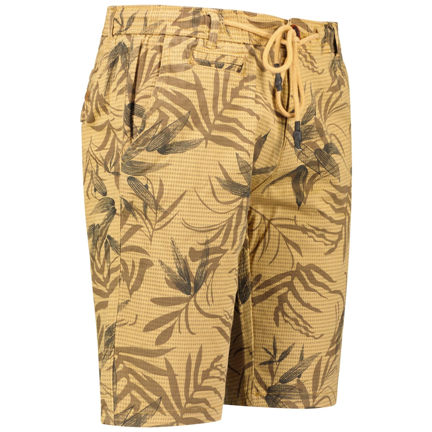 Geographical Norway Bermudas