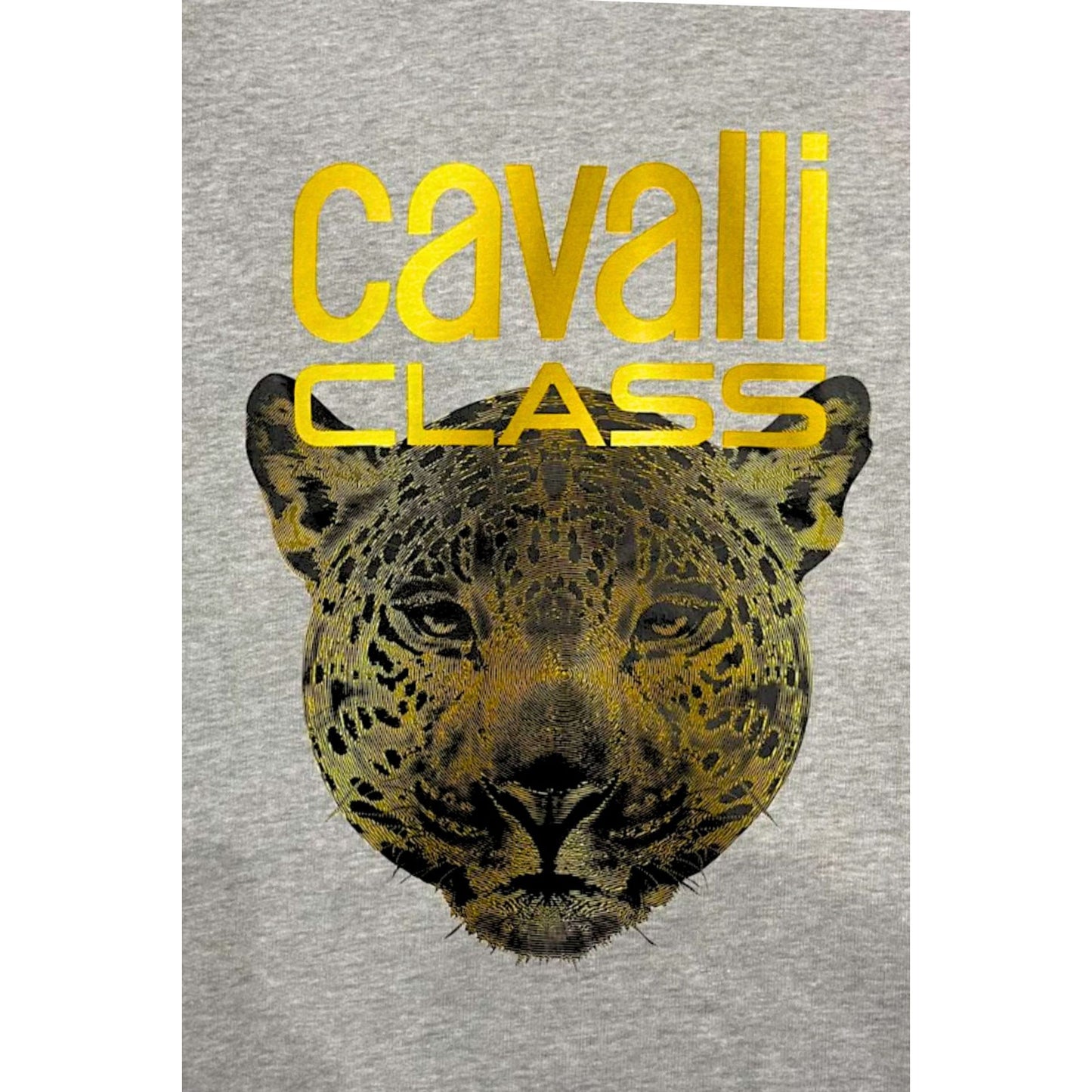 Cavalli Class Sudaderas
