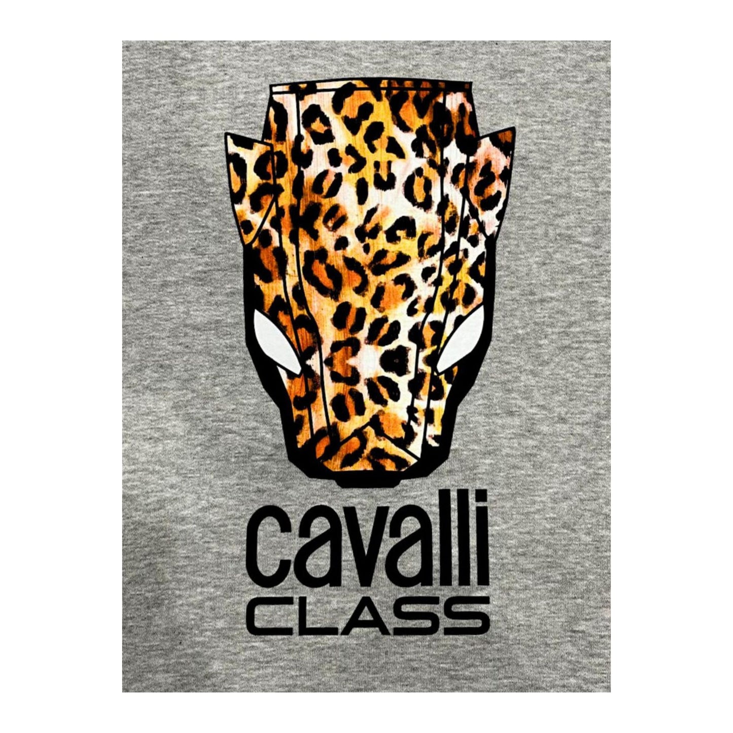 Cavalli Class Sudaderas